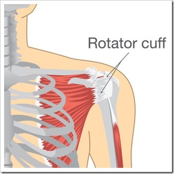 Shoulder Pain Jackson MS Rotator Cuff Injury
