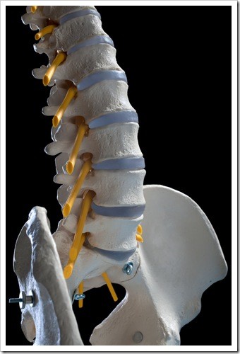 Herniated Disc and Back Pain Jackson MS