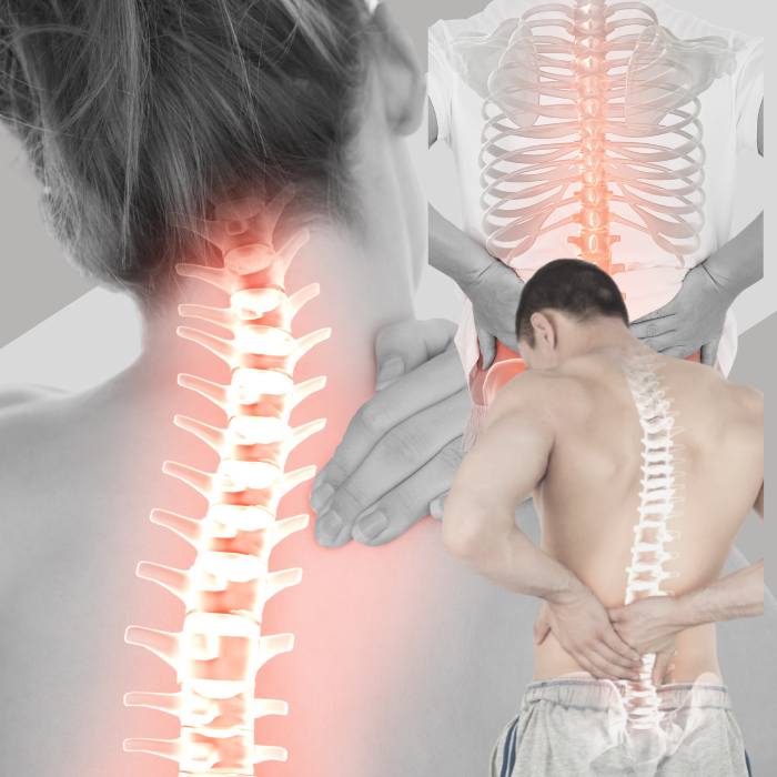 Jackson's Back Pain Shock Absorbers, Jackson MS Chiropractor, 39213